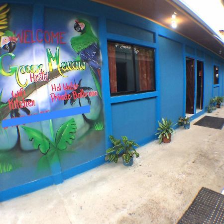 Green Macaw Hostel تورتوجويرو المظهر الخارجي الصورة